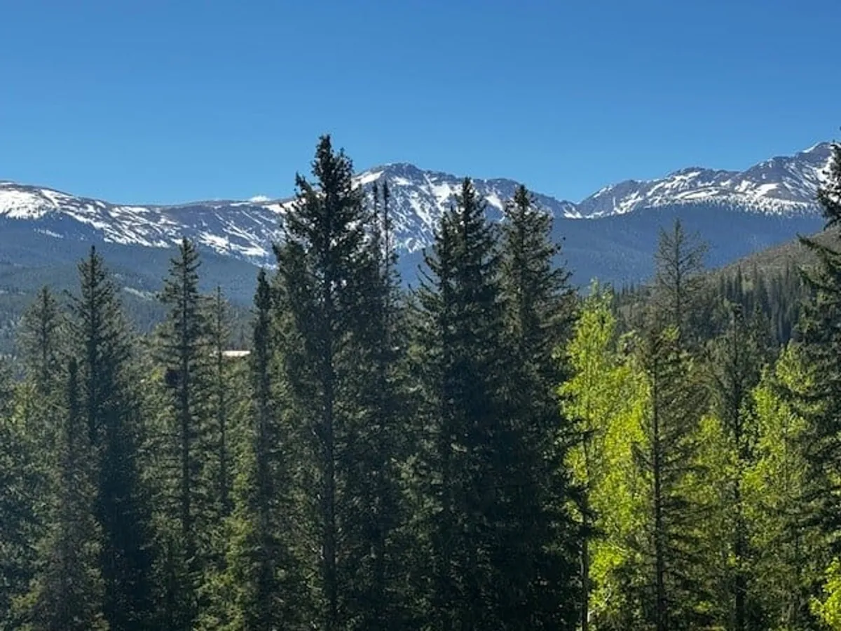 This image captures a sweeping, serene landscape of snow-capped mountains bordered by dense evergreen trees beneath a clear blue sky. The scene is evocative of the dramatic natural beauty found in Rocky Mountain National Park and the Grand Lake area, inviting viewers to imagine themselves hiking, birdwatching, or simply soaking in the view.